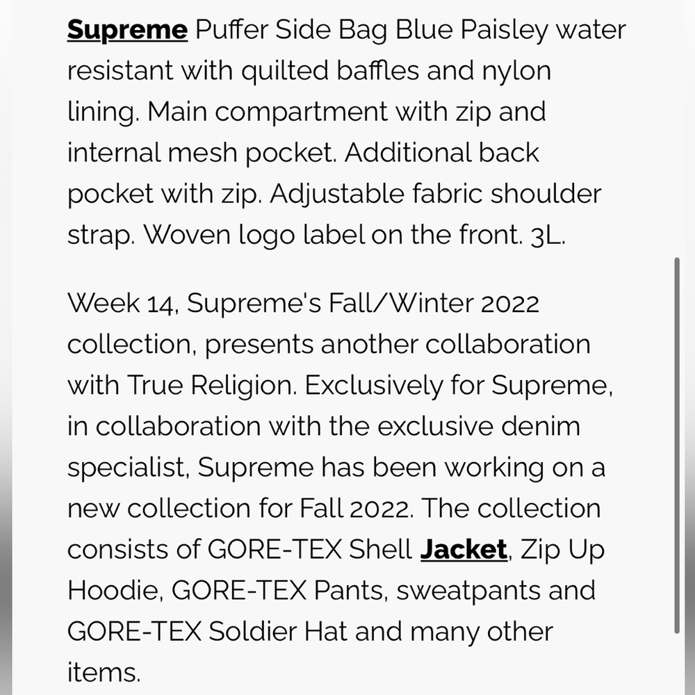 Supreme Blue Paisley Puffer Side Bag - Picture 4 of 8